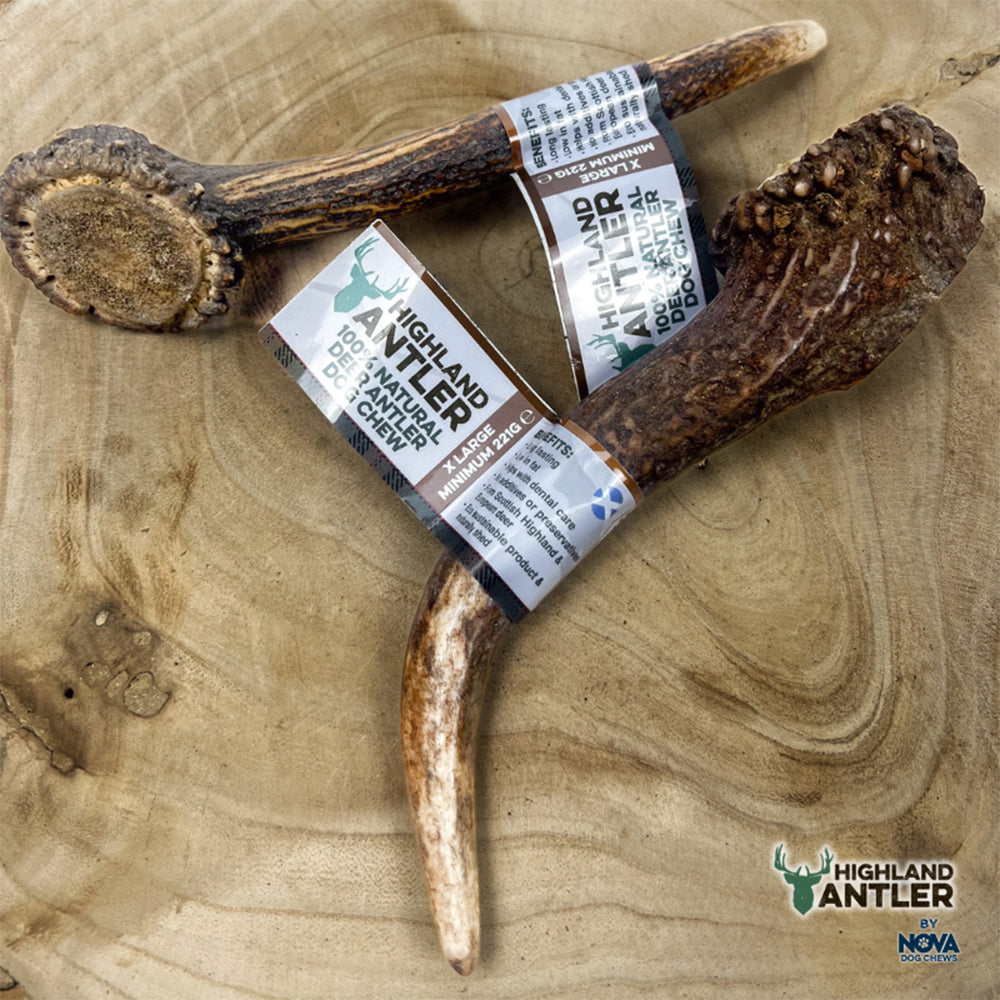 Highland Antler Natural Dog Chew