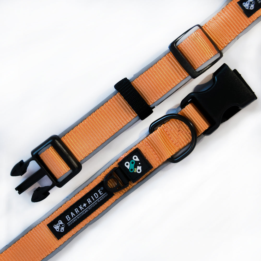 Trail Dog Collar