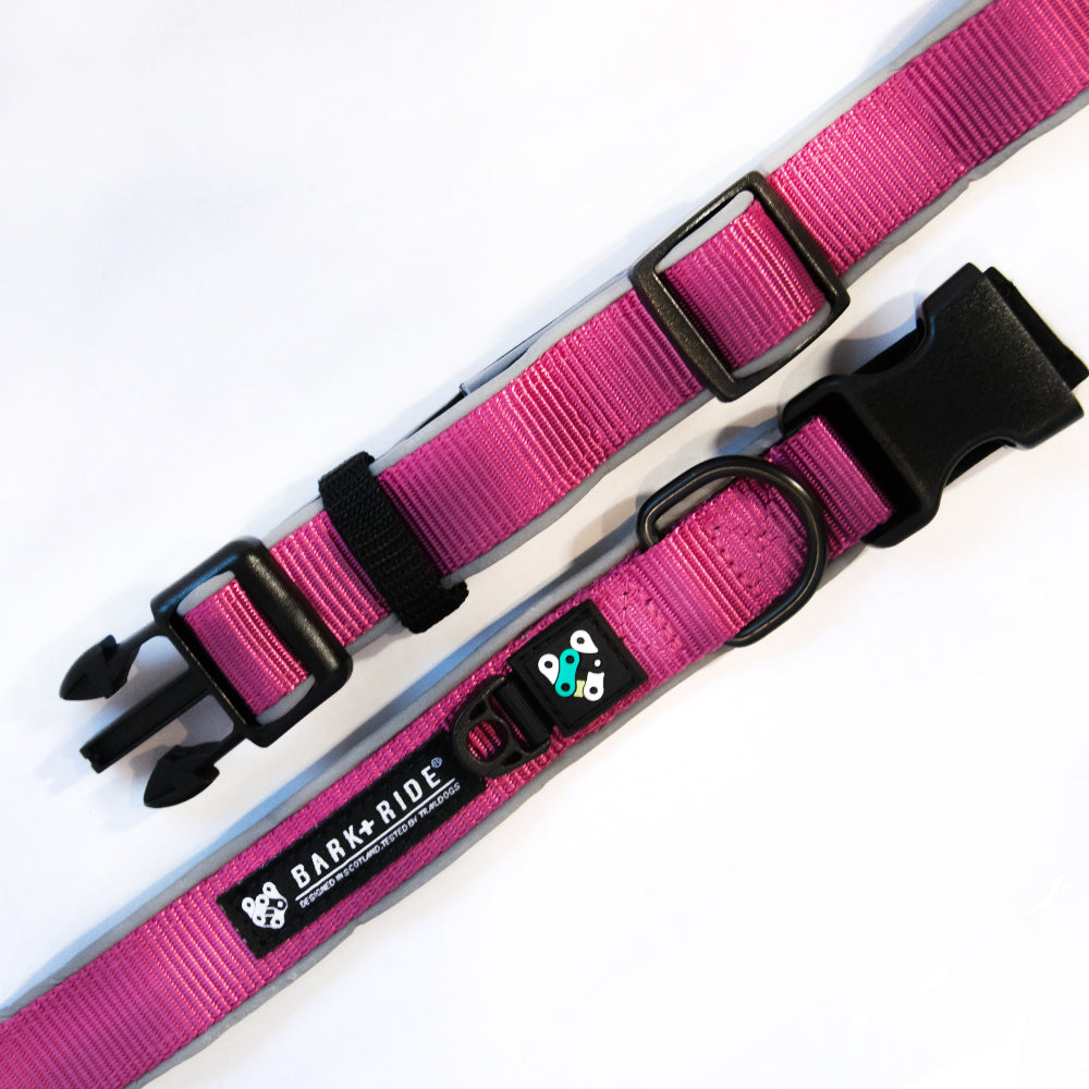 Trail Dog Collar