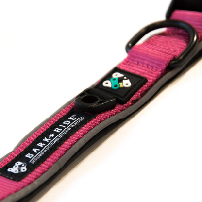 Trail Dog Collar