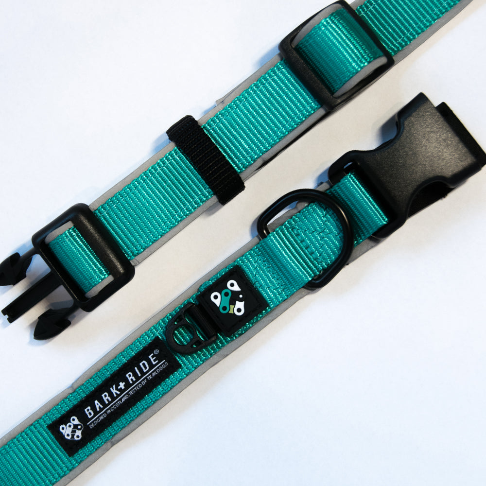 Trail Dog Collar