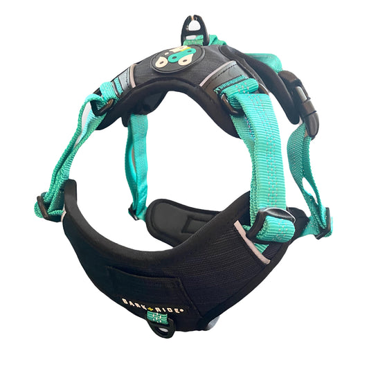 Lewis Adventure Dog Harness, Front View