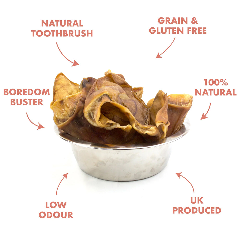 British Large Pig Ears - Benefits