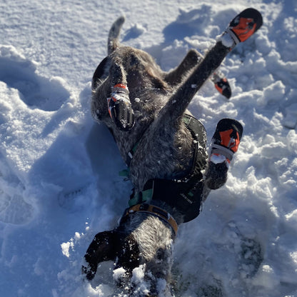 Stretch Trail Dog Booties